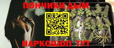 МДПВ Гудермес