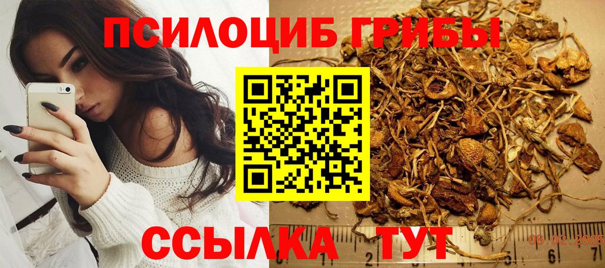 Галлюциногенные грибы мухоморы Губкинский