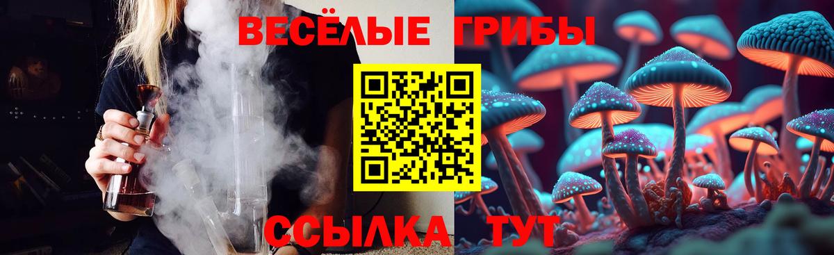 Псилоцибиновые грибы прущие грибы  наркота  Губкинский  Вход с VPN 